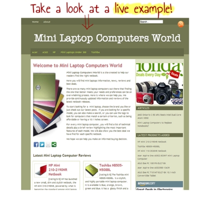 Product picture Amazon + Wordpress + Amazon Stores Made Easy = Easy to Set U